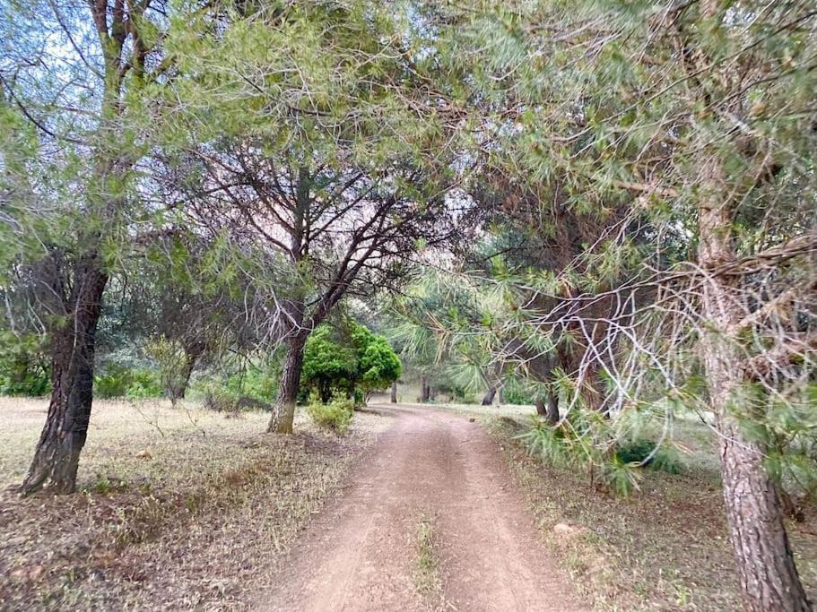 Finca La Alcolehuela En Parque Natural De Despenaperros Santa Elena Zewnętrze zdjęcie