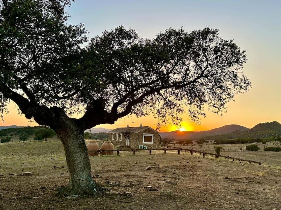 Finca La Alcolehuela En Parque Natural De Despenaperros Santa Elena Zewnętrze zdjęcie