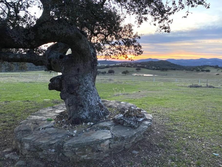 Finca La Alcolehuela En Parque Natural De Despenaperros Santa Elena Zewnętrze zdjęcie