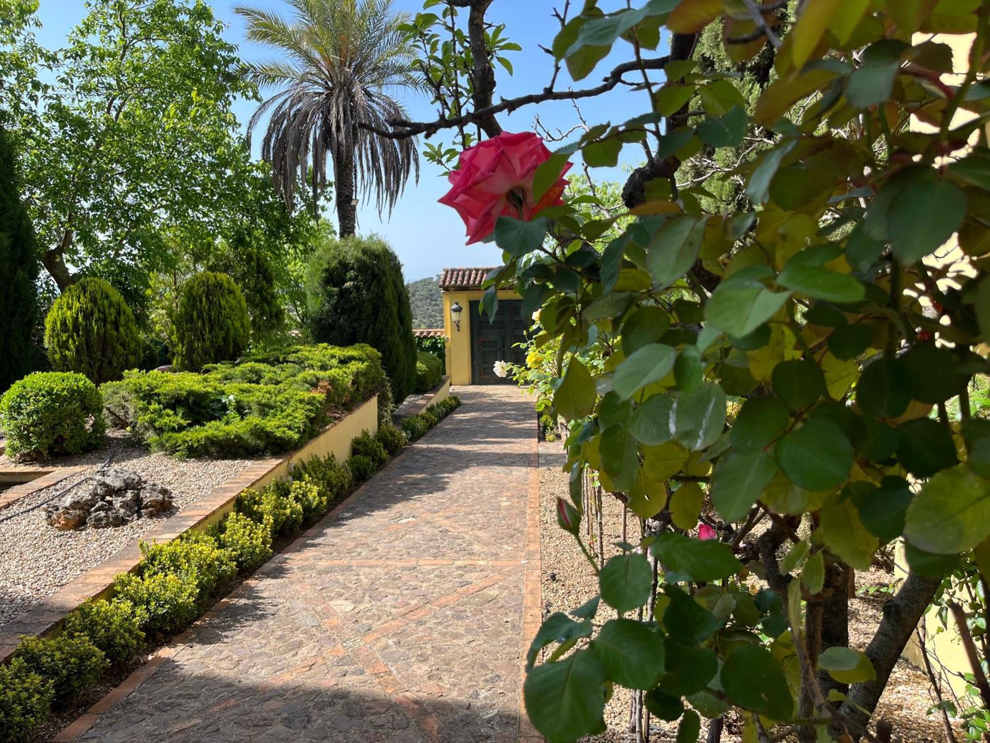 Finca La Alcolehuela En Parque Natural De Despenaperros Santa Elena Zewnętrze zdjęcie
